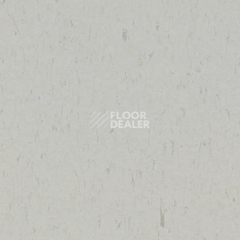 Линолеум Forbo Marmoleum Decibel on Order 362935 frosty grey фото 1 | FLOORDEALER